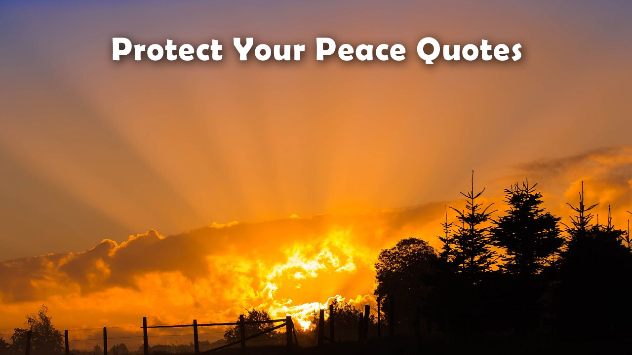 Protect Your Peace Quotes